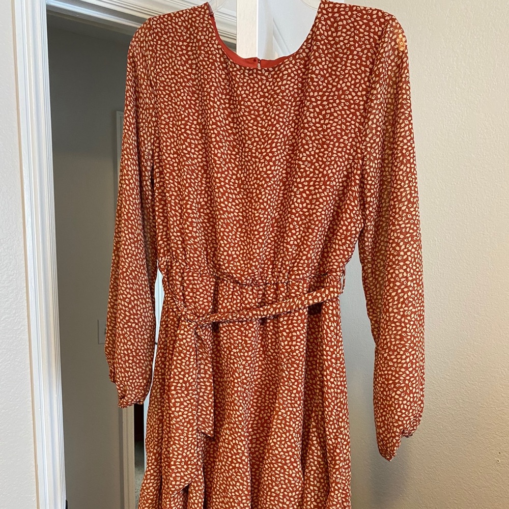 Rust Colored Long Sleeve Dress